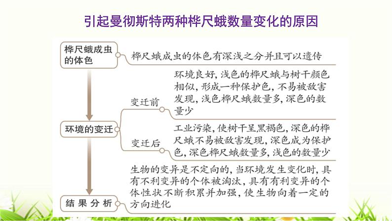 初中 初二 生物 《生物进化的原因》实验 课件第6页