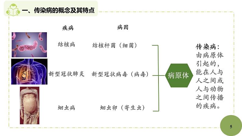 初中 初二 生物 《传染病及其预防》 教学课件第5页
