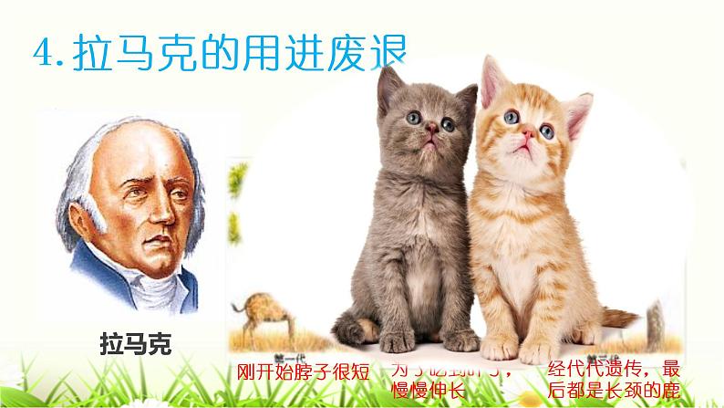 初中 初二 生物 《生物进化的原因》 课件第8页