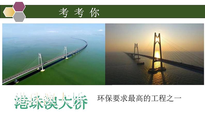 初中 初二 生物 认识生物的多样性 —授课课件第2页