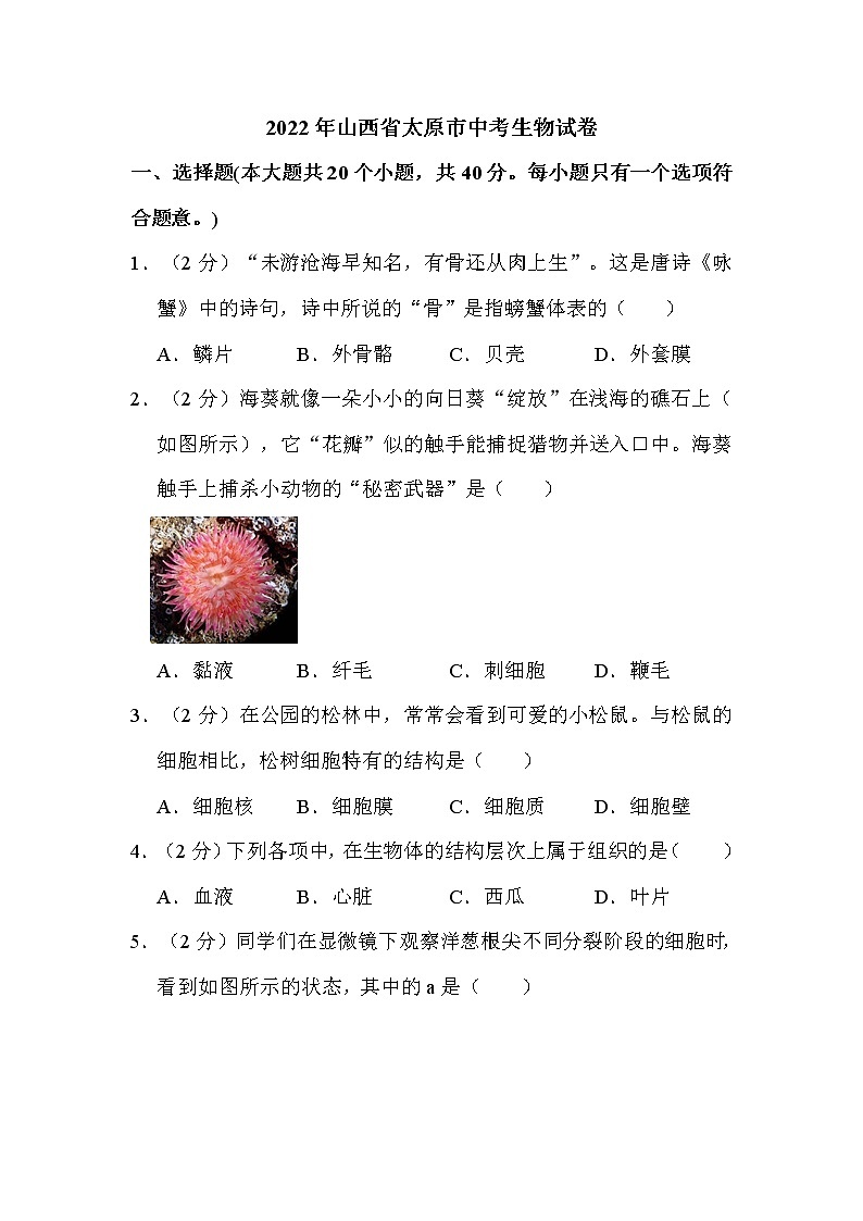 2022年山西省太原市中考生物试卷解析版01