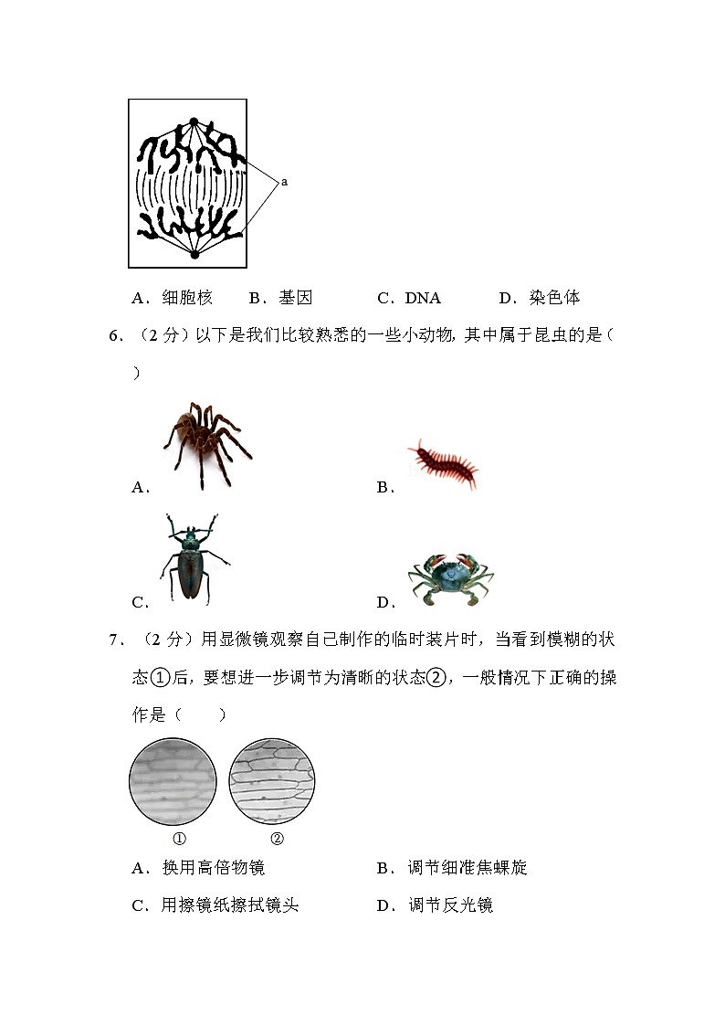 2022年山西省太原市中考生物试卷解析版02