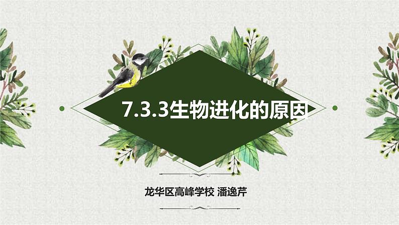 初中 初二 生物 生物进化的原因 课件01