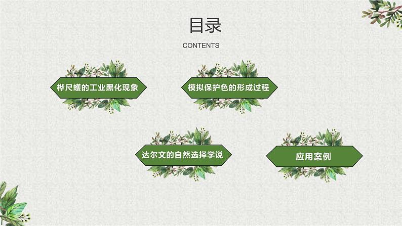 初中 初二 生物 生物进化的原因 课件03