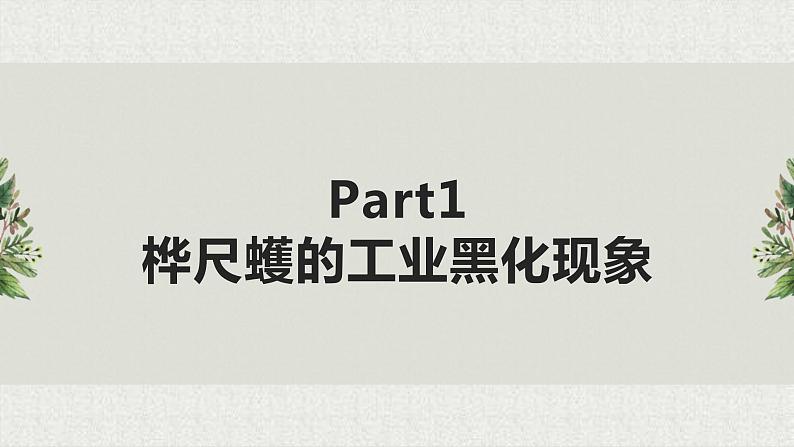 初中 初二 生物 生物进化的原因 课件04