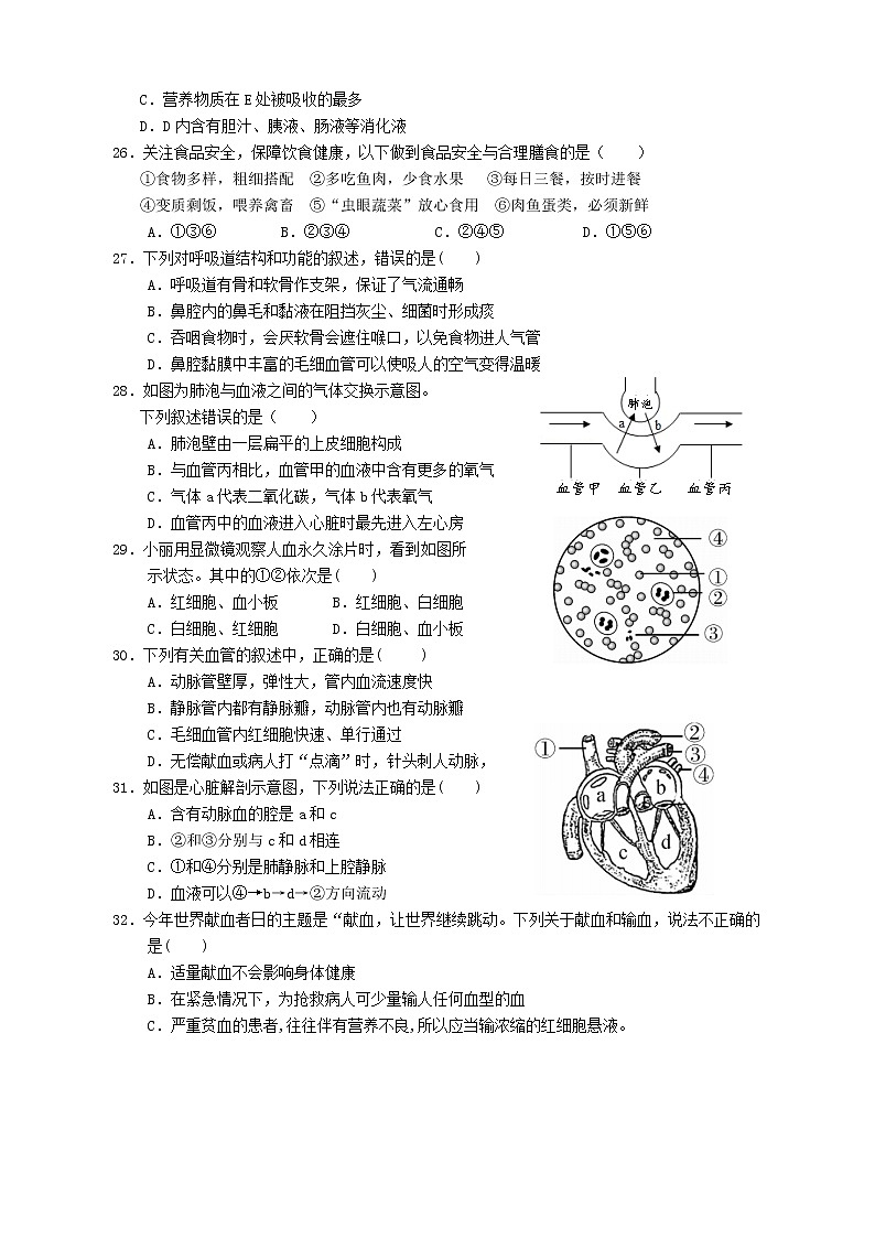 湖北省十堰市丹江口市2021-2022学年七年级下学期期末质量监测生物试题(含答案)第2页