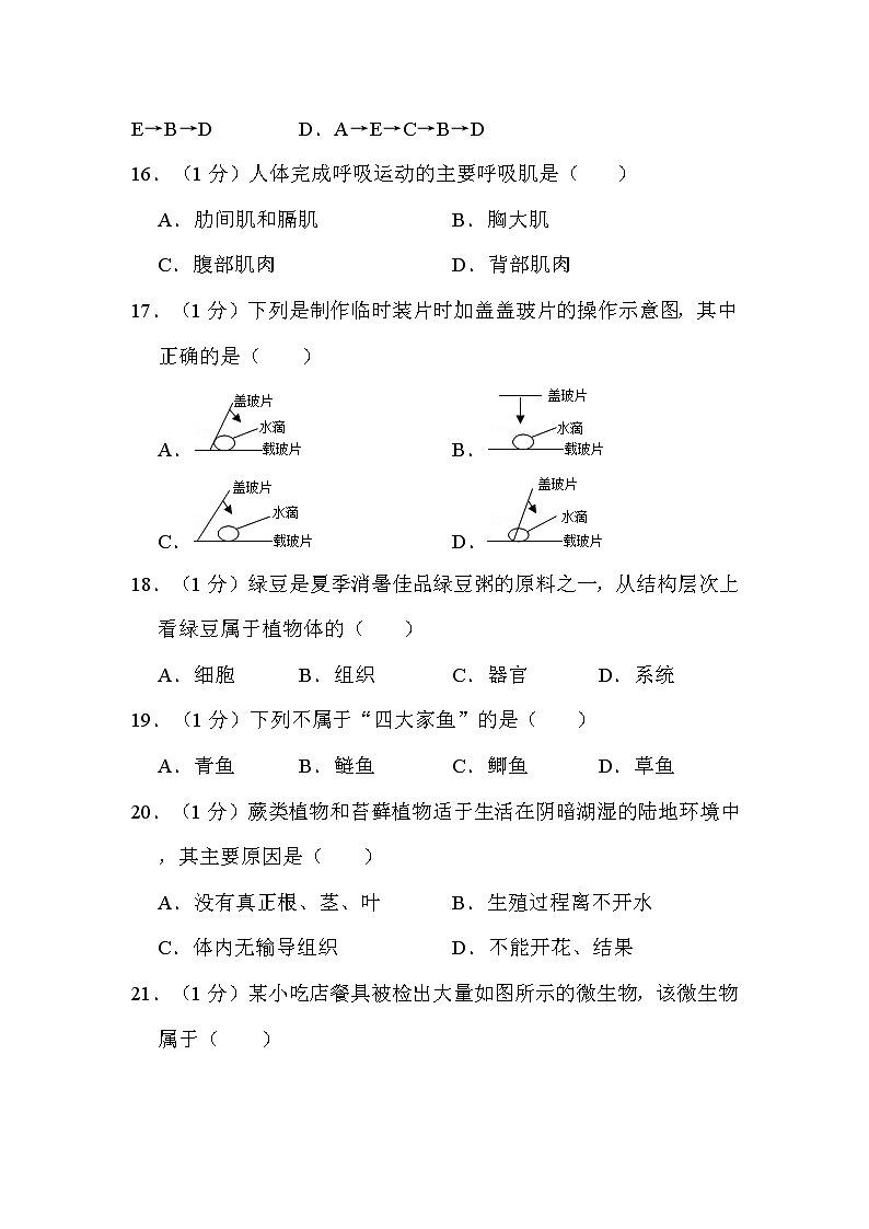 2022年江苏省无锡市中考生物试卷解析版第3页