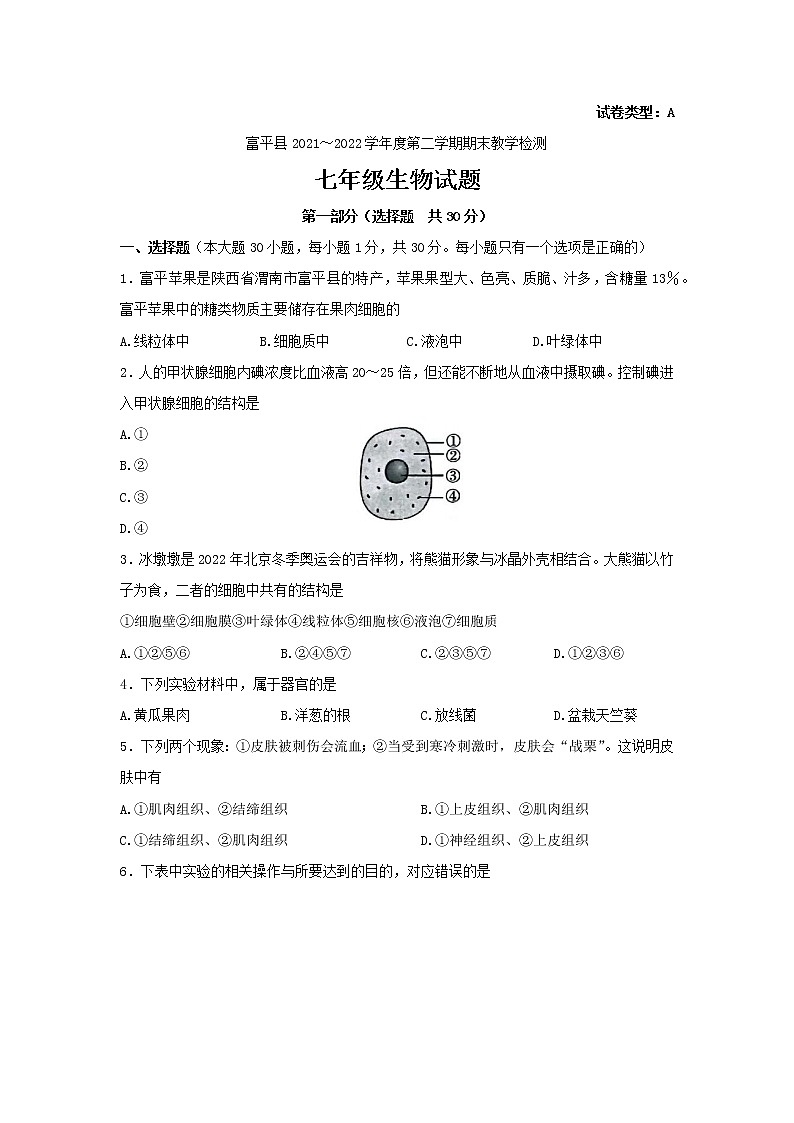 陕西省渭南市富平县2021-2022学年七年级下学期期末考试生物试题(word版含答案)第1页