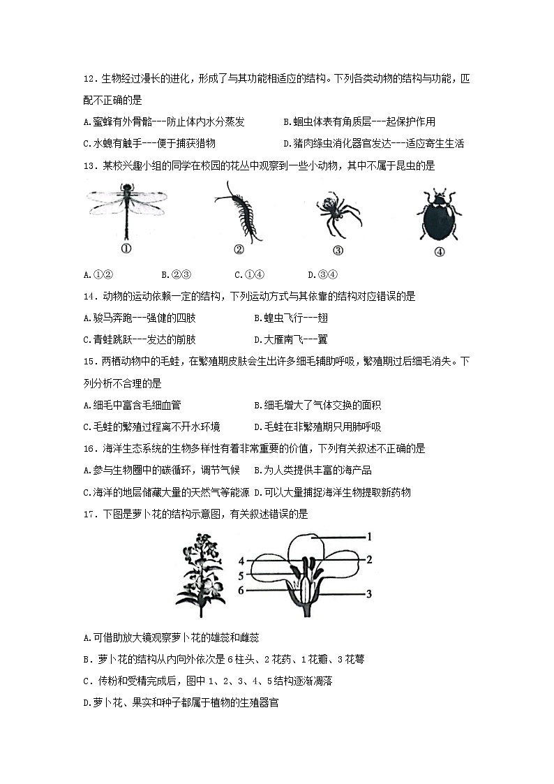 陕西省渭南市富平县2021-2022学年七年级下学期期末考试生物试题(word版含答案)第3页