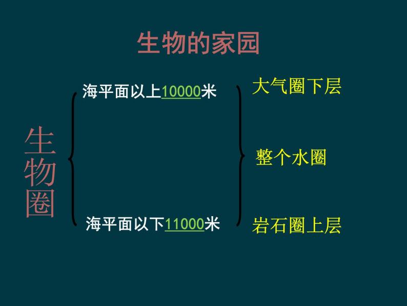 七年级生物北师大版1.1.1 形形色色的生物 课件（共26张PPT）05