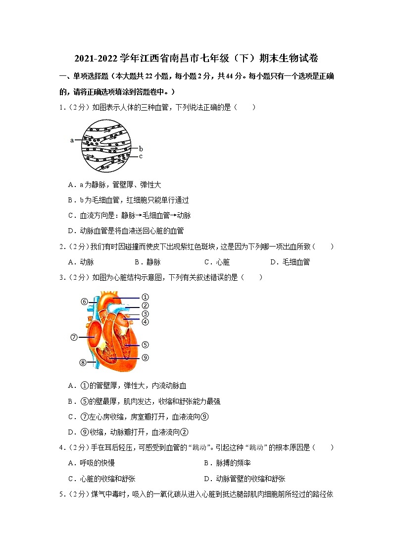 江西省南昌市2021-2022学年七年级下学期期末生物试卷(word版含答案)01