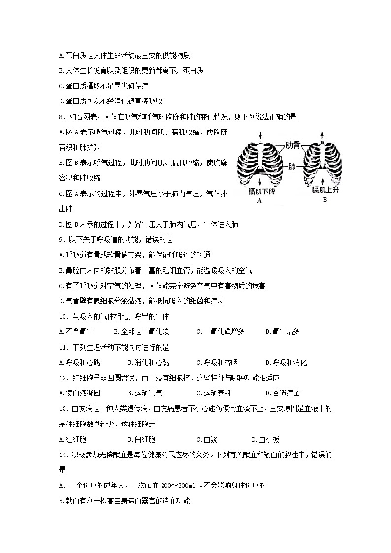 广东省江门市恩平市2021-2022学年七年级下学期期末考试生物试题(word版含答案)02