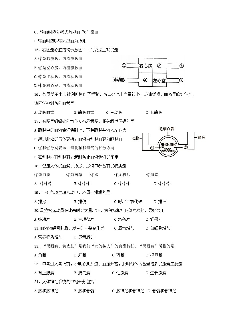 广东省江门市恩平市2021-2022学年七年级下学期期末考试生物试题(word版含答案)03