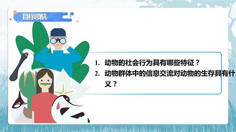 第二章第三节《社会行为》课件+教案04