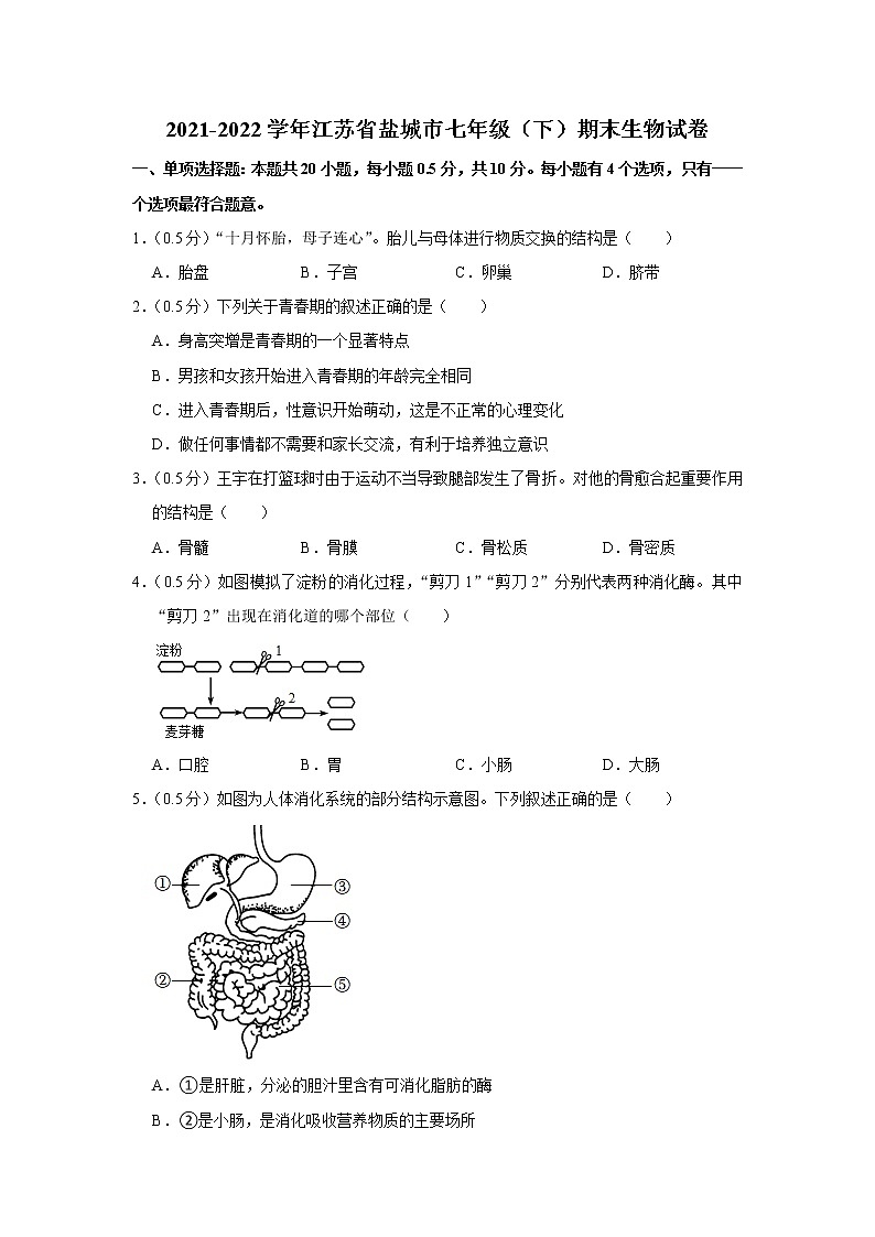 江苏省盐城市2021-2022学年七年级下学期期末生物试卷(word版含答案)第1页