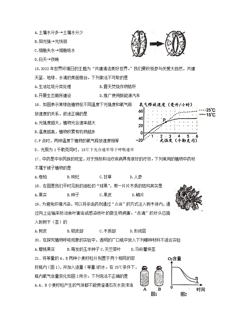 山东省烟台栖霞市(五四制)2021-2022学年六年级下学期期末考试生物试题(word版含答案)第3页