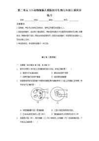 初中生物人教版 (新课标)七年级上册第三节 动物细胞优秀课堂检测