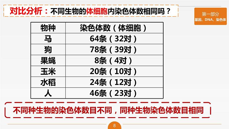初中 初一 生物 基因在亲子代间的传递 课件第8页
