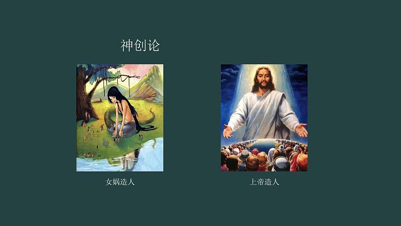初中 初一 生物 人的起源和发展 课件第6页