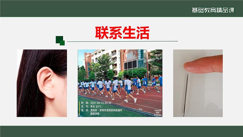 初中生物 七年级 神经调节的基本方式 课件第2页