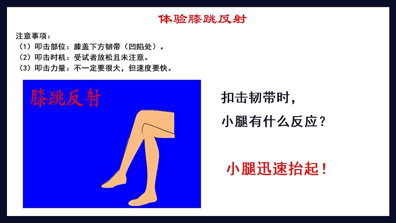 初中生物 七年级 神经调节的基本方式 课件第5页