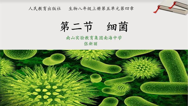 初中生物 人教版 八下 细菌 课件第1页