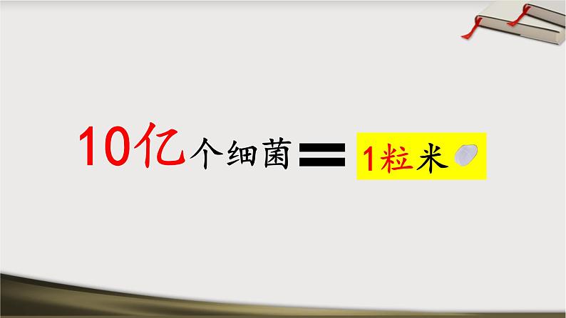 初中生物 人教版 八下 细菌 课件第3页