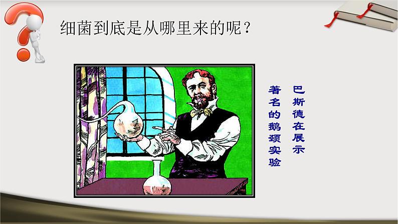 初中生物 人教版 八下 细菌 课件第6页