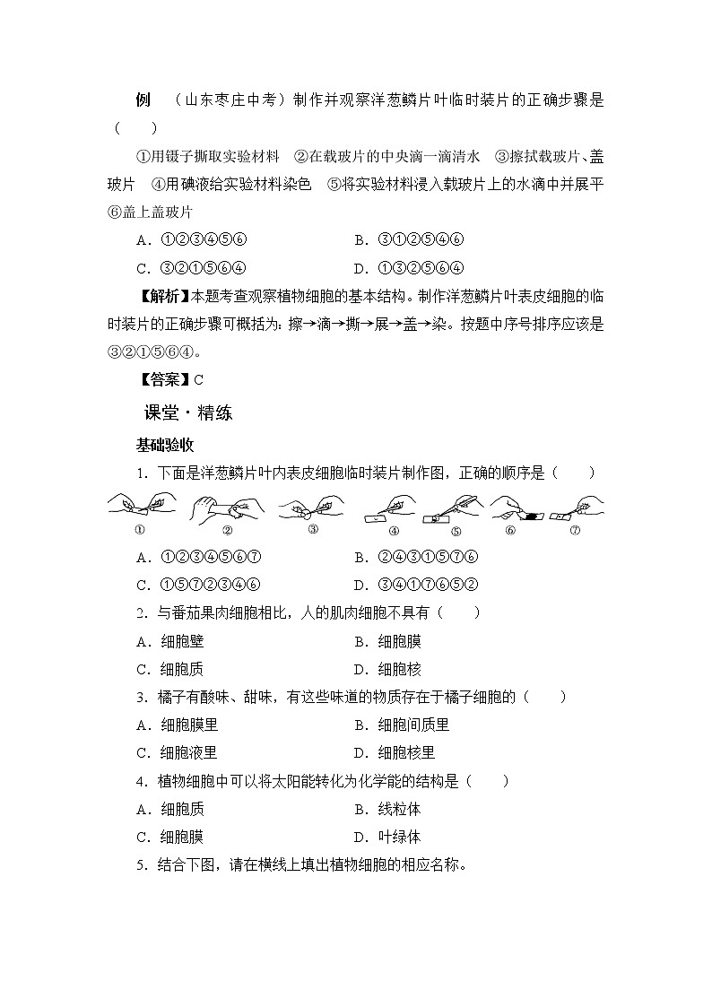 北师大版生物七上3.1《细胞的基本结构和功能》课堂精练(第2课时)(有答案)第2页