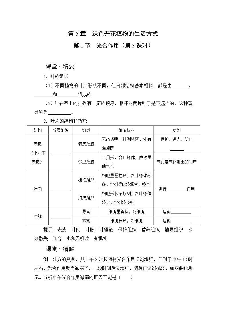 北师大版生物七上5.1《光合作用》课堂精练（第3课时）（有答案）01