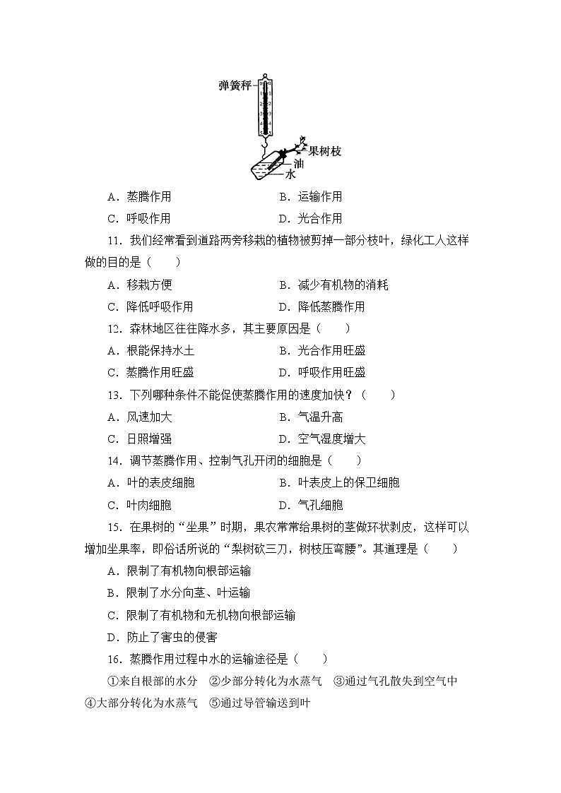 北师大版生物七上期末测试卷及答案第3页