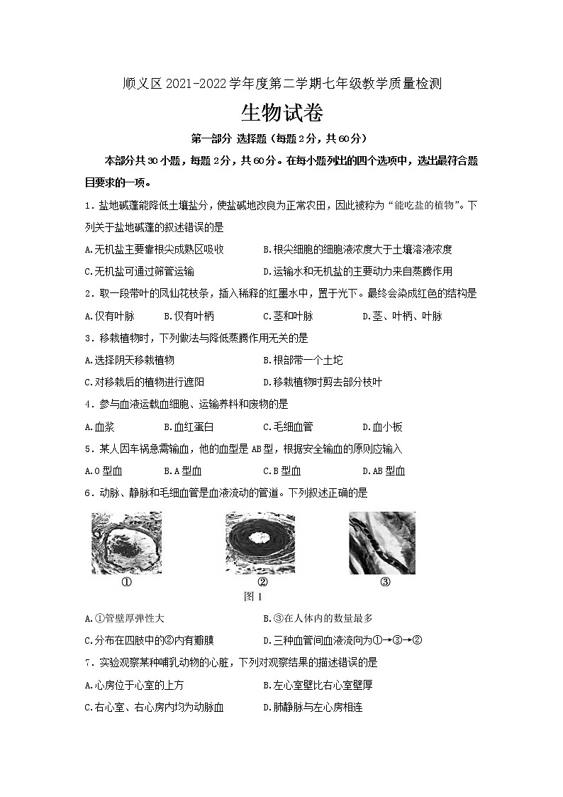 北京市顺义区2021-2022学年七年级下学期期末练习生物试题(word版含答案)01