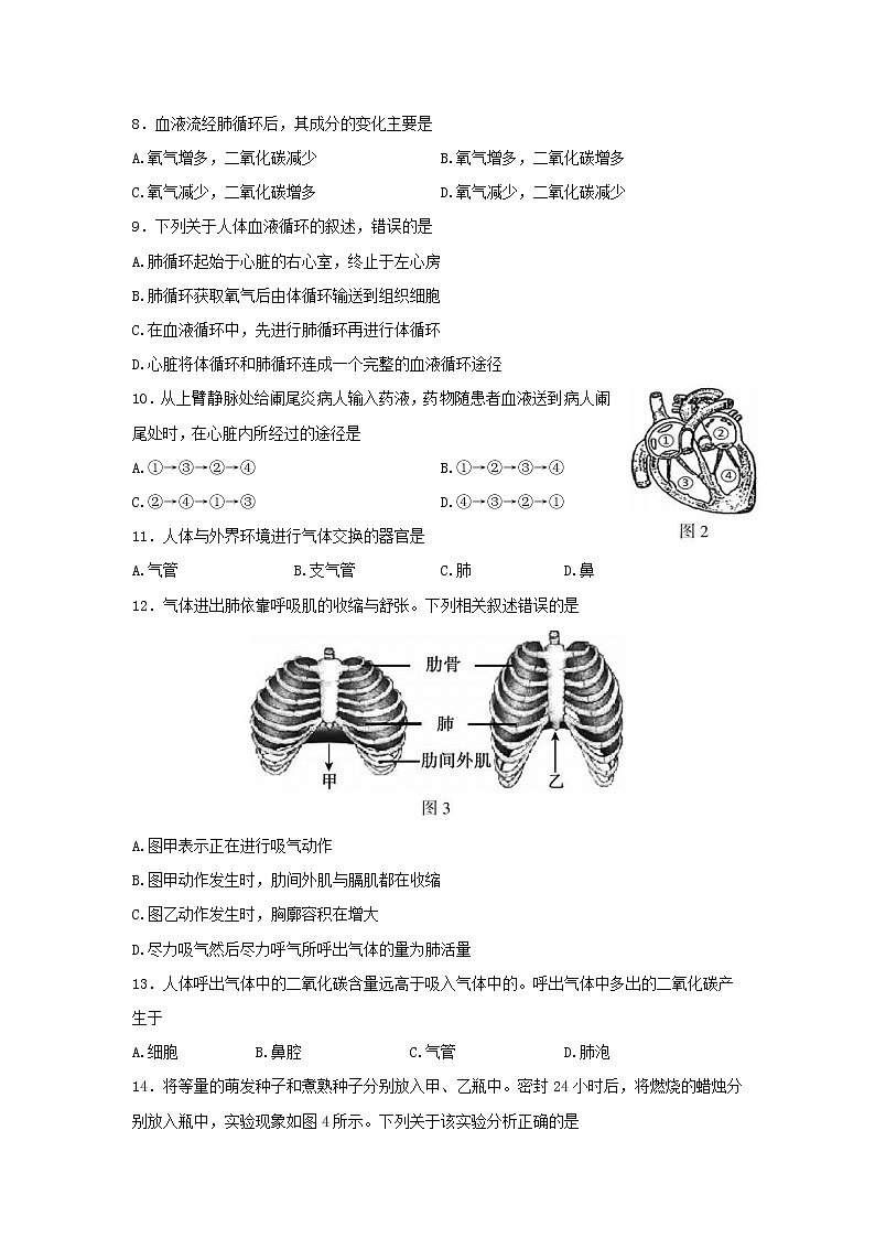 北京市顺义区2021-2022学年七年级下学期期末练习生物试题(word版含答案)02