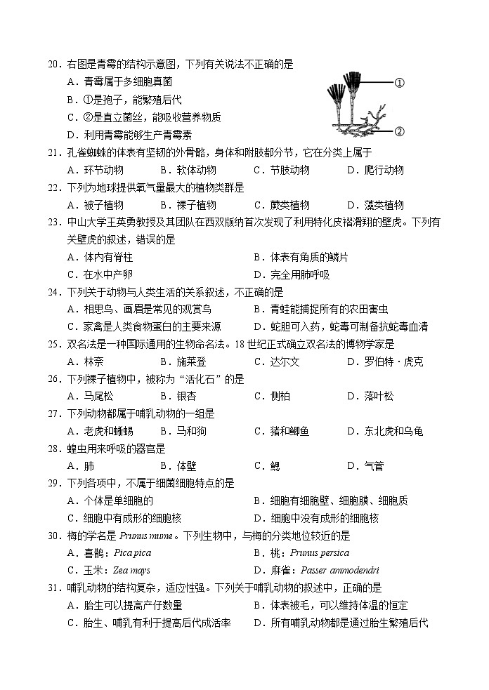 江苏省镇江市句容市、丹徒区2021-2022学年七年级下学期期末生物样卷(word版含答案)03