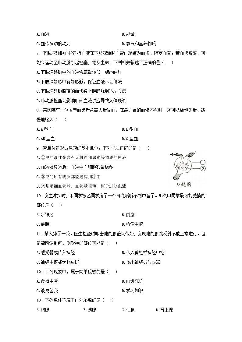 河北省保定市雄县2021-2022学年七年级下学期期末考试生物试题(word版含答案)02