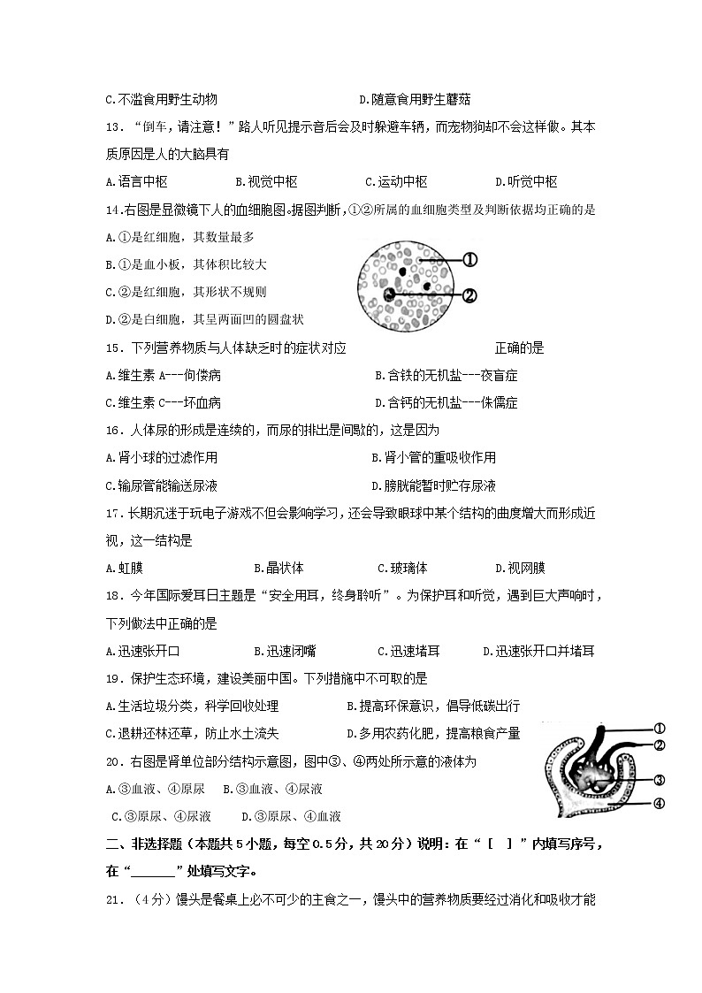 辽宁省大连市甘井子区2021—2022学年七年级下学期期末生物试卷(word版含答案)第2页