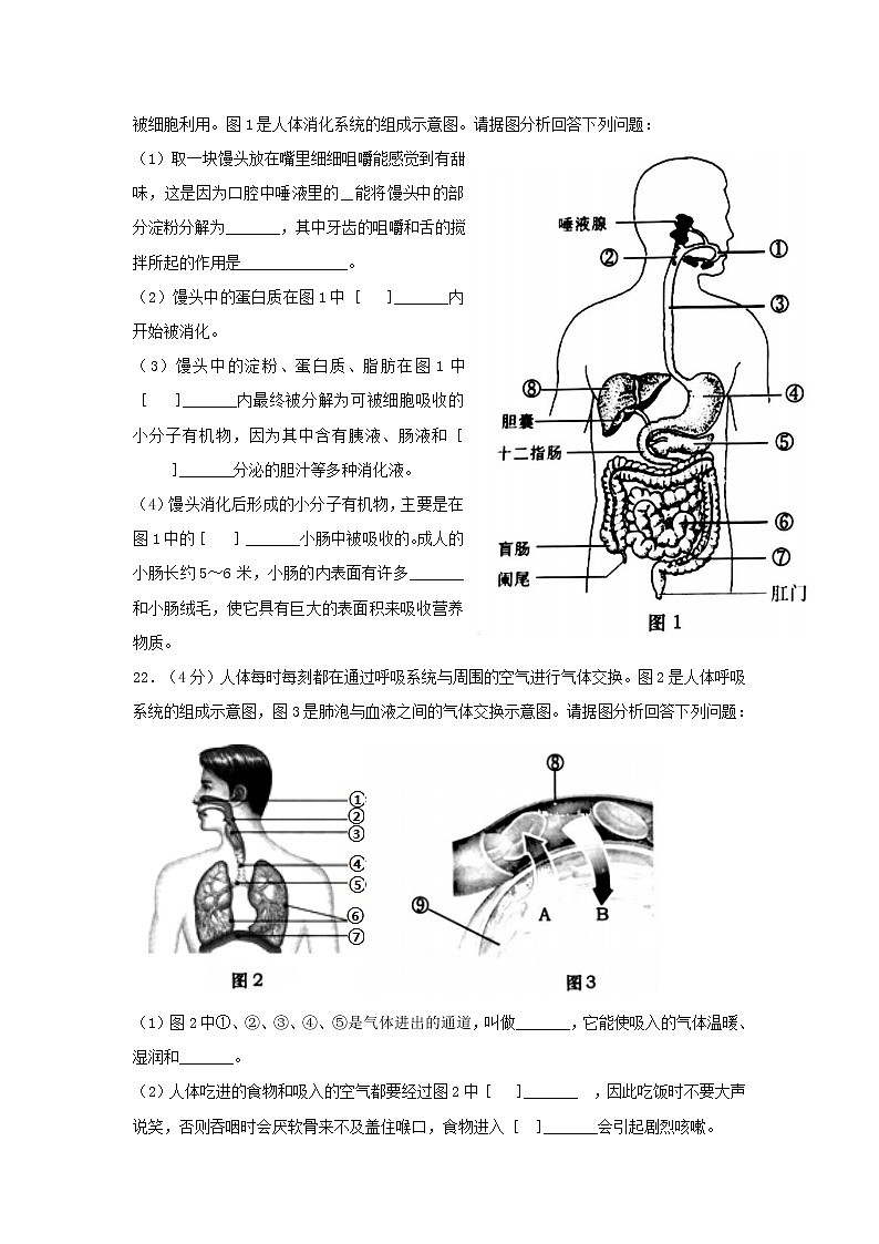 辽宁省大连市甘井子区2021—2022学年七年级下学期期末生物试卷(word版含答案)第3页