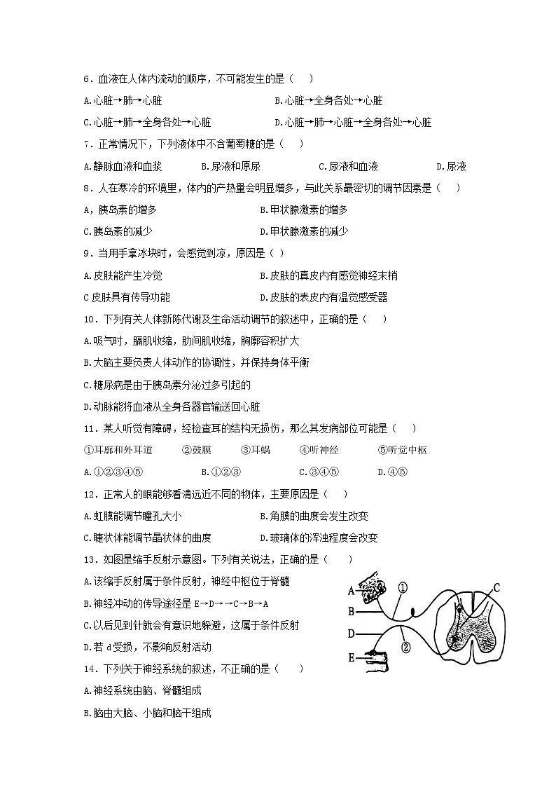 广西崇左市宁明县2021-2022学年七年级下学期期末考试生物试题(word版含答案)02