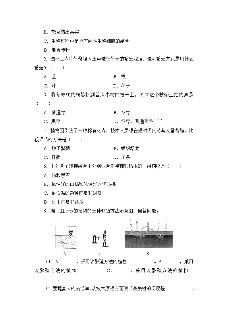北师大生物八上第19章 第3节《植物的生殖方式》课堂精练及答案第2页