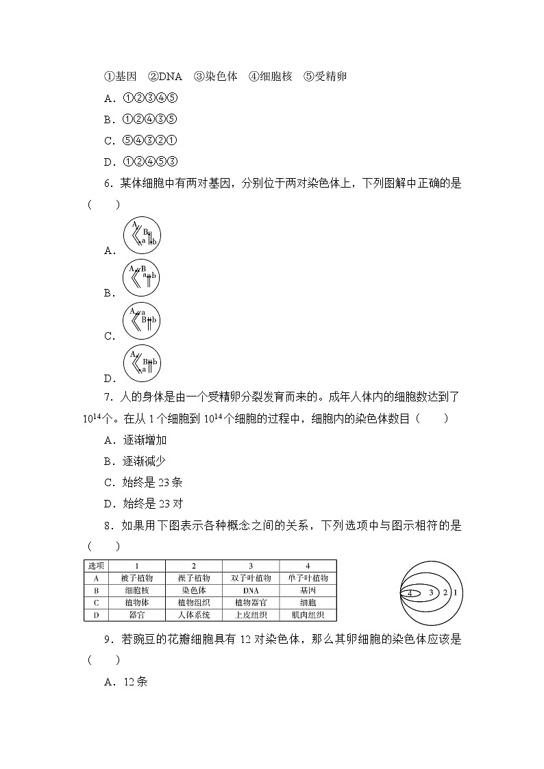 北师大生物八上第20章《生物的遗传和变异》测试卷及答案02
