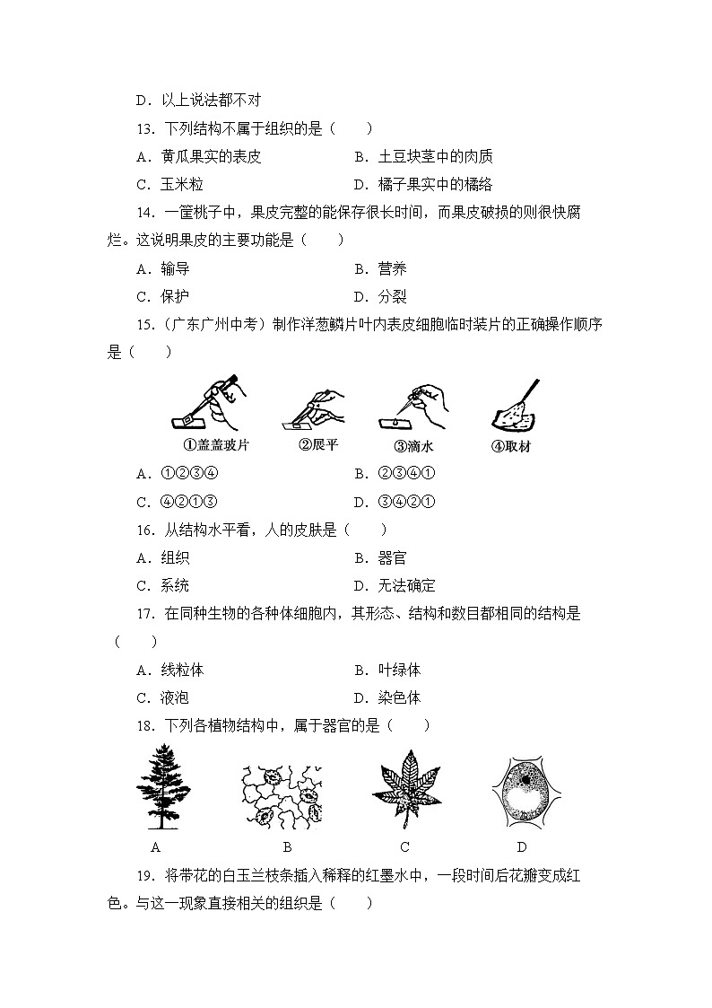 北师大版生物七上第2单元《生物体的结构》测试卷及答案03