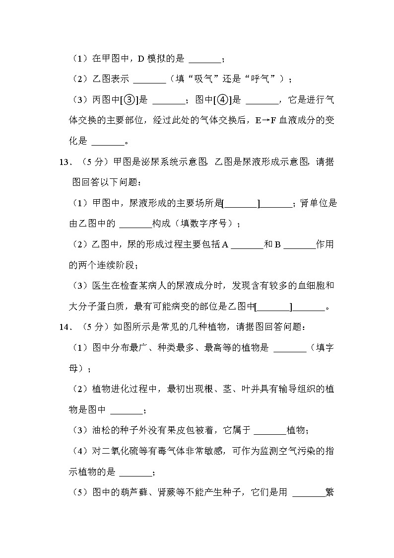 2022年辽宁省本溪市中考生物试卷解析版03