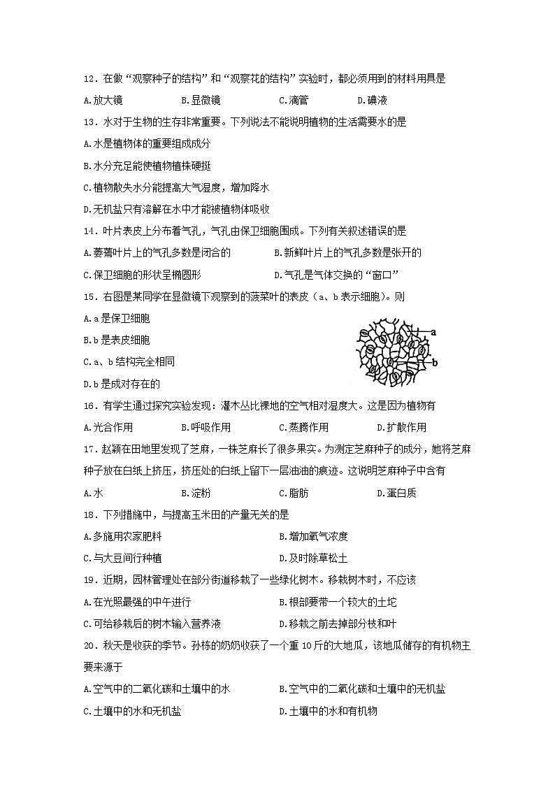 山东省济南市莱芜区(五四制)2021-2022学年六年级下学期期末考试生物试题(word版含答案)03