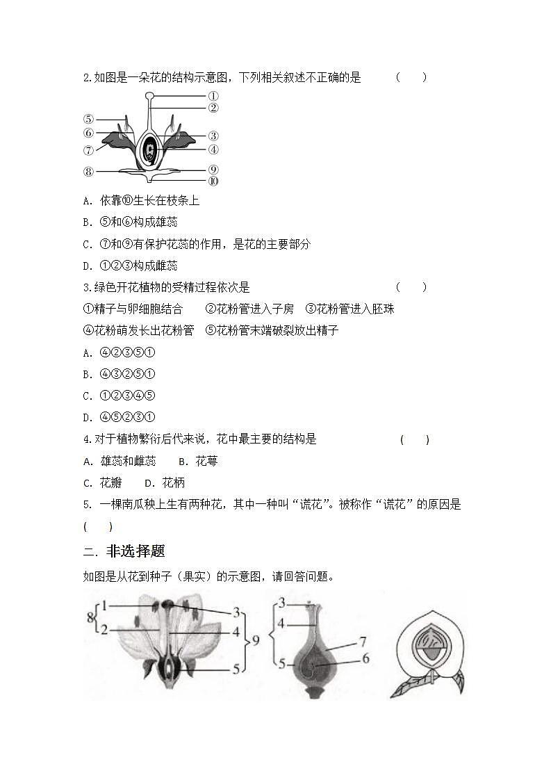 人教版初中生物七年级上册3.2.3《开花和结果》同步分层练习(含答案)第3页