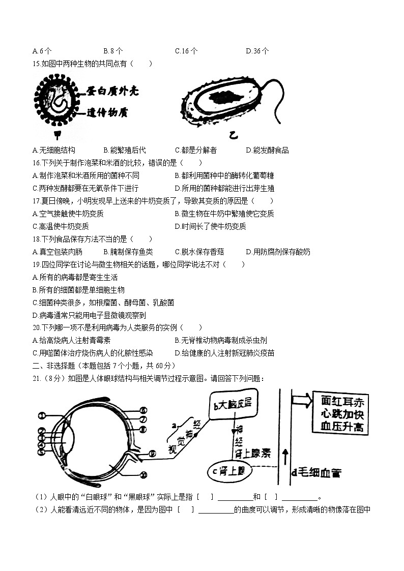 山东省淄博市周村区2021-2022学年七年级下学期期末生物试题(word版含答案)03