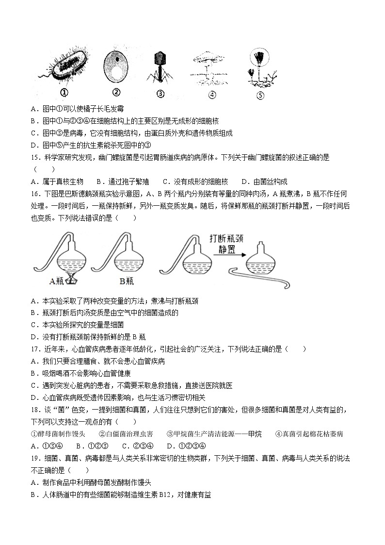 山东省淄博市高青县2021-2022学年七年级下学期期末生物试题(word版含答案)第3页