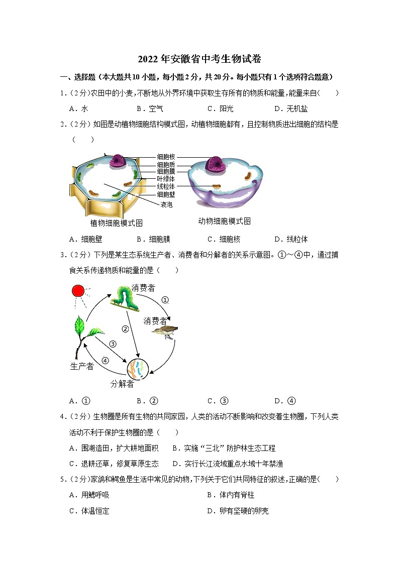 2022年安徽省中考生物真题试卷(word版含答案)01
