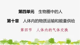 苏教版七年级生物下册 第十章 第四节    人体内的气体交换课件