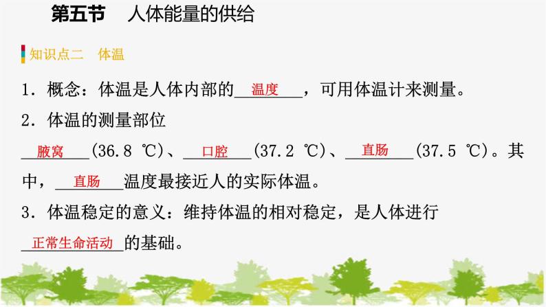 苏教版七年级生物下册 第十章 第五节  人体能量的供给课件07