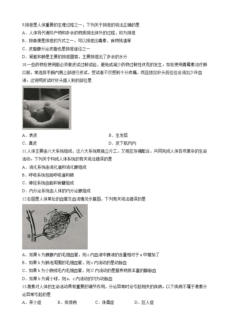 山东省济宁市曲阜市2021-2022学年七年级下学期期末生物试题(word版含答案)03